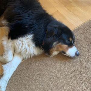 Meet your Posher, Karen